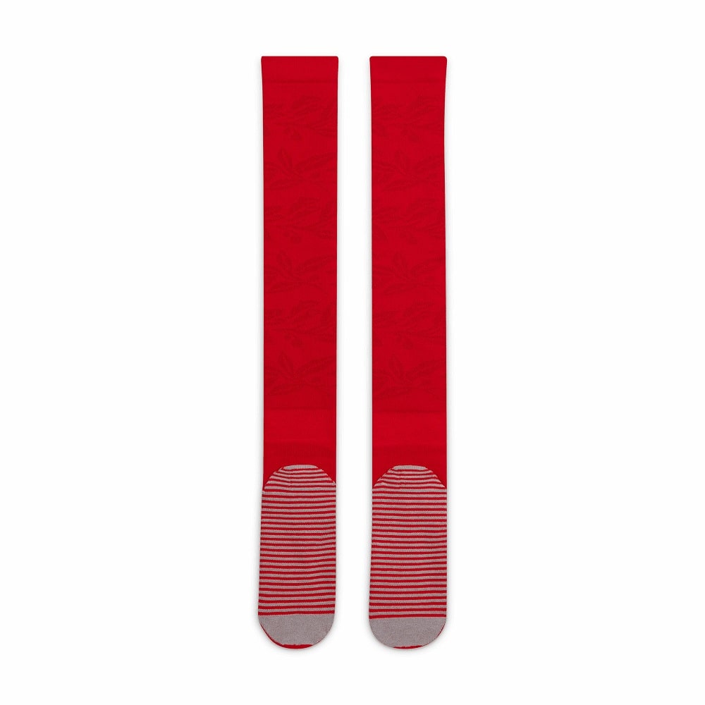 CHAUSSETTES EQUIPE DE FRANCE COUPE DU MONDE 2022 HOME – Image 3